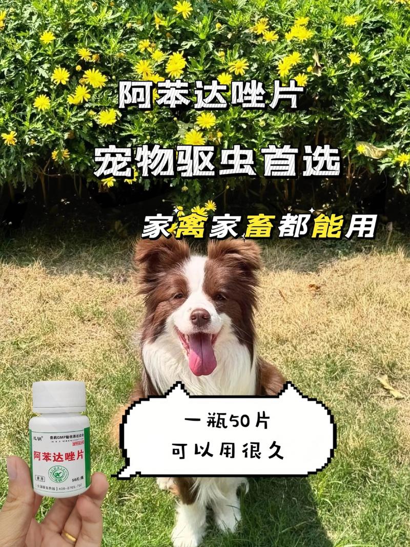狗狗驱虫药用量,狗狗驱虫药用量标准?-第5张图片-后鲨宠物 狗狗驱虫药用量,狗狗驱虫药用量标准?-第5张图片-后鲨宠物