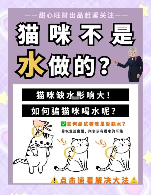 猫咪多喝水好吗_猫咪多喝点水好吗-第1张图片-后鲨宠物 猫咪多喝水好吗_猫咪多喝点水好吗-第1张图片-后鲨宠物