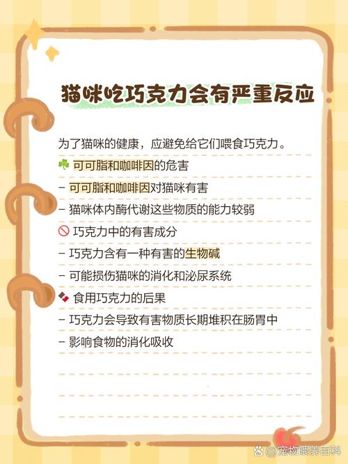 猫咪能不能吃面包_猫咪能吃面包吗?-第4张图片-后鲨宠物 猫咪能不能吃面包_猫咪能吃面包吗?-第4张图片-后鲨宠物