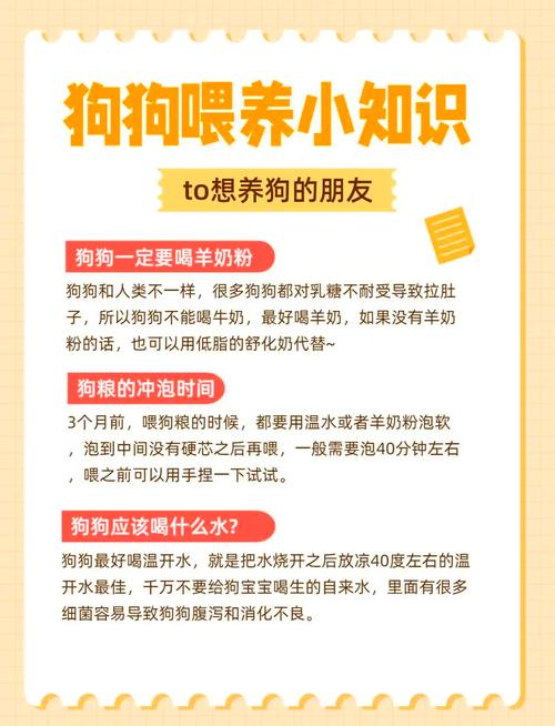 刚刚满月的狗狗怎么养,刚刚满月的狗狗怎么养比较好-第5张图片-后鲨宠物 刚刚满月的狗狗怎么养,刚刚满月的狗狗怎么养比较好-第5张图片-后鲨宠物