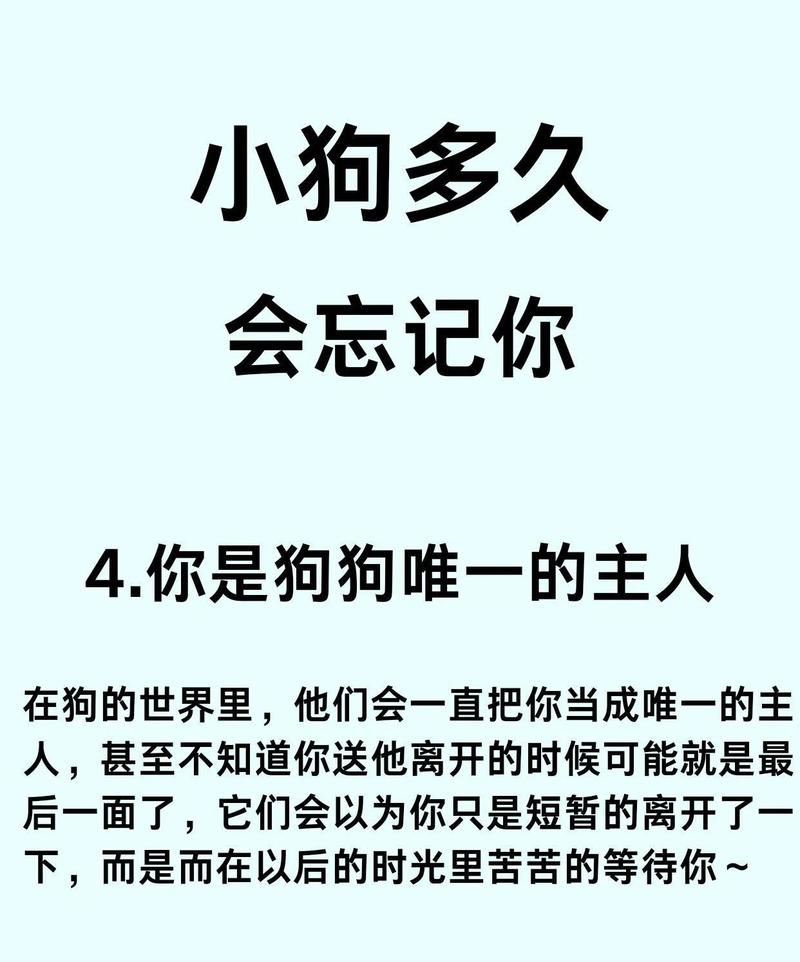 狗狗多久会忘记主人_狗狗多久会忘记主人的事情