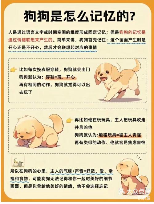 狗狗多久会忘记主人_狗狗多久会忘记主人的事情-第4张图片-后鲨宠物 狗狗多久会忘记主人_狗狗多久会忘记主人的事情-第4张图片-后鲨宠物