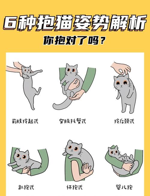 猫咪喜欢被抱吗,猫咪喜欢主人抱抱吗?-第1张图片-后鲨宠物 猫咪喜欢被抱吗,猫咪喜欢主人抱抱吗?-第1张图片-后鲨宠物