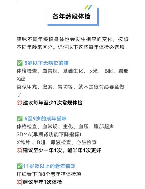 猫咪做体检大概多少钱_猫咪做一次体检的费用-第1张图片-后鲨宠物 猫咪做体检大概多少钱_猫咪做一次体检的费用-第1张图片-后鲨宠物