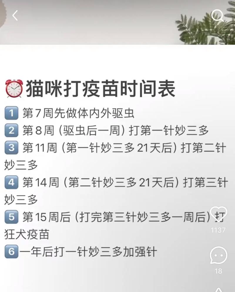 猫猫疫苗怎么打,猫疫苗如何接种?-第1张图片-后鲨宠物 猫猫疫苗怎么打,猫疫苗如何接种?-第1张图片-后鲨宠物