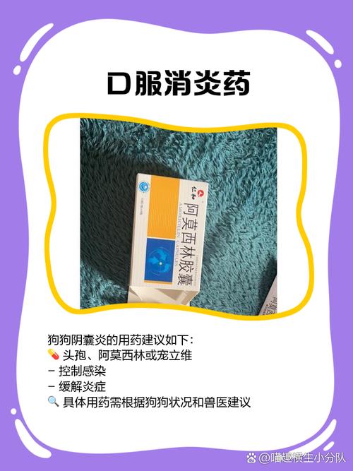 狗狗睾丸炎怎么治疗_狗狗睾丸炎治疗费用-第4张图片-后鲨宠物 狗狗睾丸炎怎么治疗_狗狗睾丸炎治疗费用-第4张图片-后鲨宠物