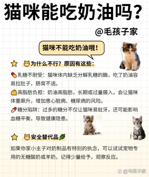 猫咪能吃奶油吗_猫咪能吃奶油吗会死吗-第3张图片-后鲨宠物