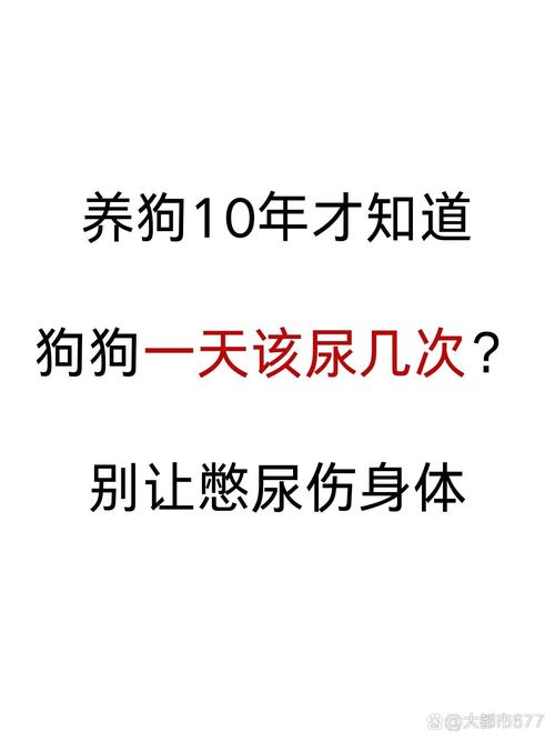 狗狗憋尿能憋多久,狗狗憋尿好吗?-第6张图片-后鲨宠物 狗狗憋尿能憋多久,狗狗憋尿好吗?-第6张图片-后鲨宠物