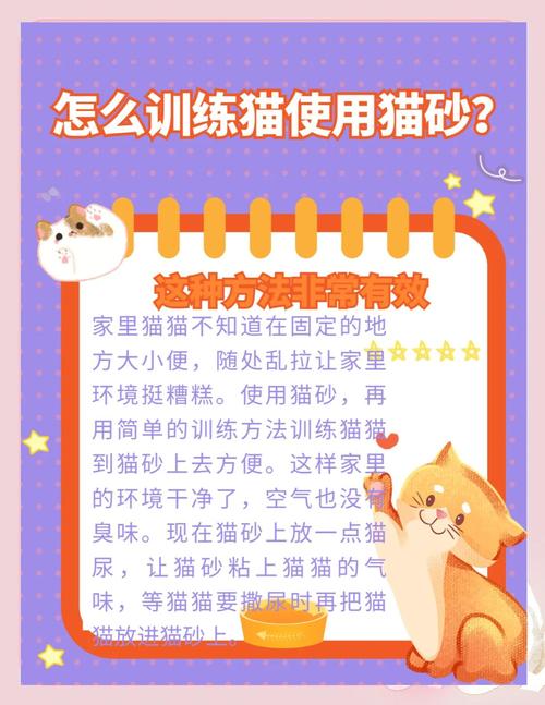 猫咪突然随地大小便,猫咪突然随地大小便是为什么-第1张图片-后鲨宠物 猫咪突然随地大小便,猫咪突然随地大小便是为什么-第1张图片-后鲨宠物