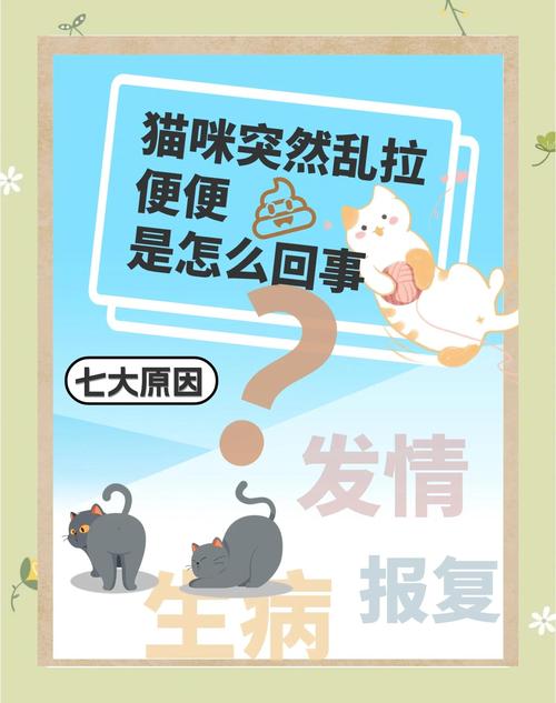 猫咪突然随地大小便,猫咪突然随地大小便是为什么-第2张图片-后鲨宠物 猫咪突然随地大小便,猫咪突然随地大小便是为什么-第2张图片-后鲨宠物