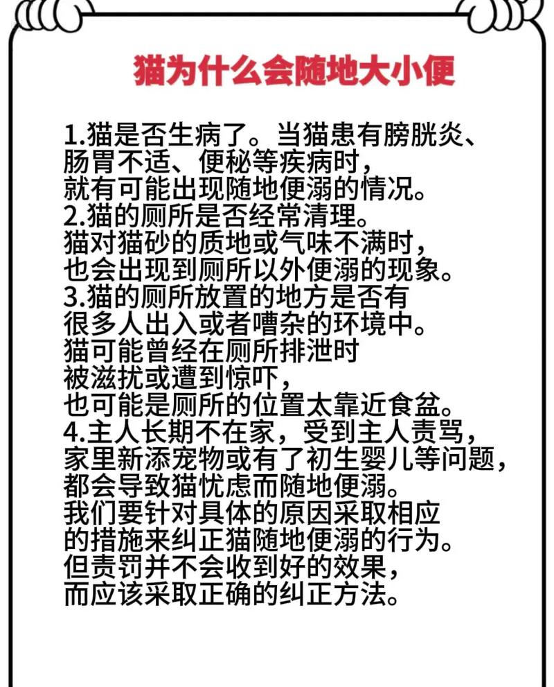 猫咪突然随地大小便,猫咪突然随地大小便是为什么-第6张图片-后鲨宠物 猫咪突然随地大小便,猫咪突然随地大小便是为什么-第6张图片-后鲨宠物