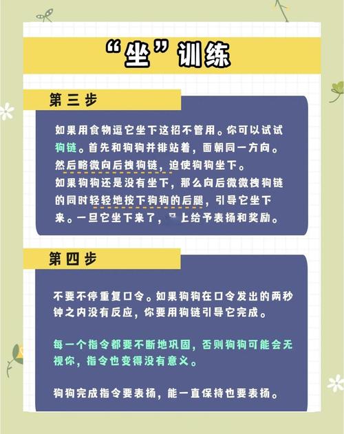 怎么让狗狗坐下,如何让狗狗坐立-第3张图片-后鲨宠物 怎么让狗狗坐下,如何让狗狗坐立-第3张图片-后鲨宠物