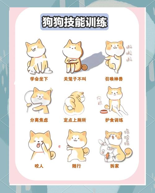 怎么让狗狗坐下,如何让狗狗坐立-第4张图片-后鲨宠物 怎么让狗狗坐下,如何让狗狗坐立-第4张图片-后鲨宠物