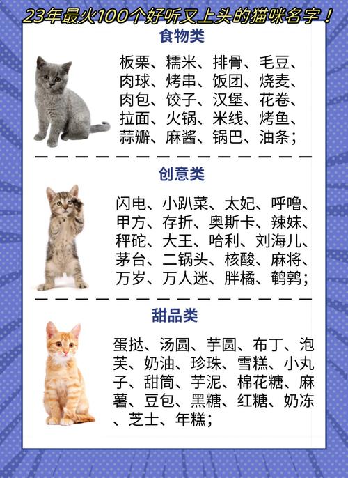 猫猫叫什么名字,林子烨猫猫叫什么名字?-第1张图片-后鲨宠物 猫猫叫什么名字,林子烨猫猫叫什么名字?-第1张图片-后鲨宠物