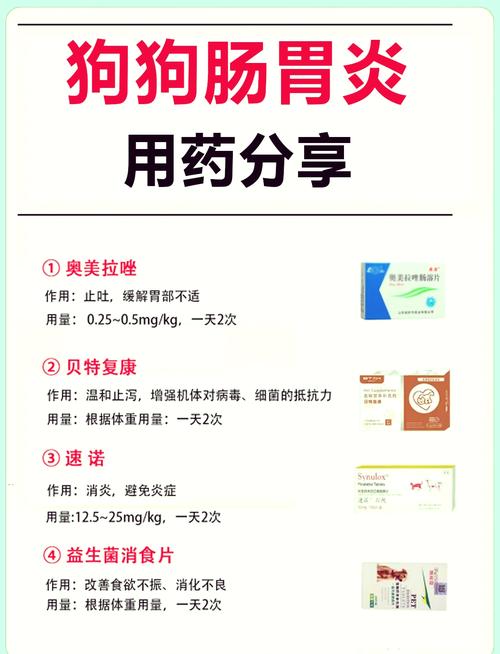 狗狗拉血治疗方法_狗狗拉血是啥病-第5张图片-后鲨宠物 狗狗拉血治疗方法_狗狗拉血是啥病-第5张图片-后鲨宠物