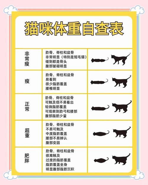 猫咪肥胖的危害,猫咪肥胖会导致什么-第2张图片-后鲨宠物 猫咪肥胖的危害,猫咪肥胖会导致什么-第2张图片-后鲨宠物