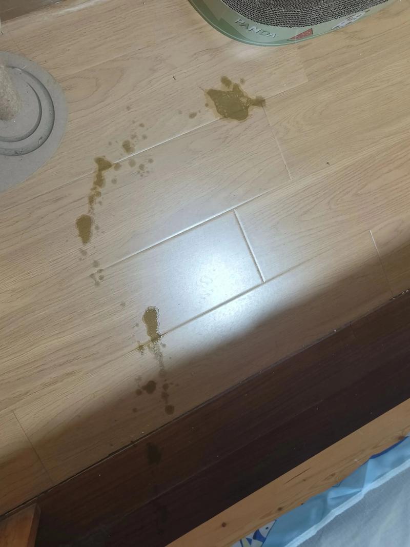 猫咪打疫苗后呕吐,猫咪打疫苗后呕吐黄色液体-第2张图片-后鲨宠物 猫咪打疫苗后呕吐,猫咪打疫苗后呕吐黄色液体-第2张图片-后鲨宠物