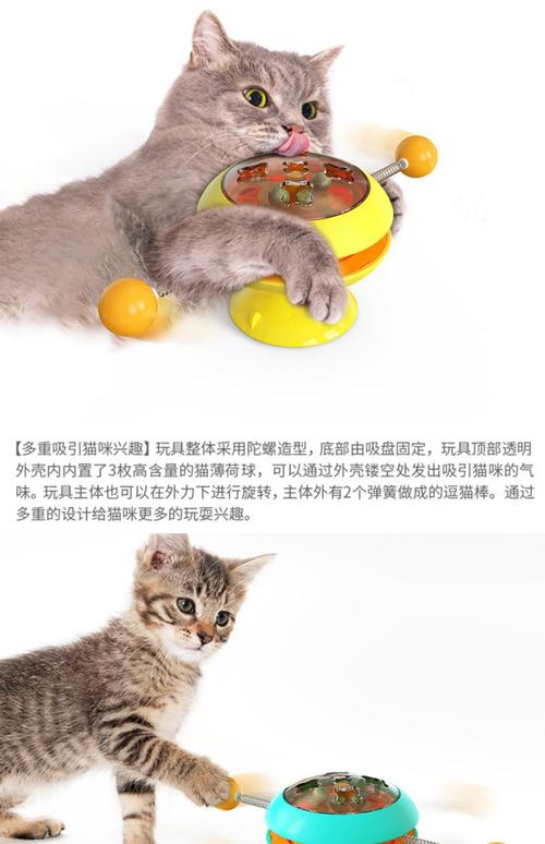 猫咪喜欢玩什么玩具,猫咪都喜欢玩什么?-第4张图片-后鲨宠物 猫咪喜欢玩什么玩具,猫咪都喜欢玩什么?-第4张图片-后鲨宠物