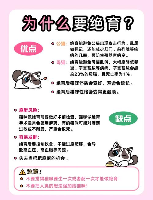 猫咪绝育最佳时间,猫咪绝育最佳时间是多久?-第1张图片-后鲨宠物 猫咪绝育最佳时间,猫咪绝育最佳时间是多久?-第1张图片-后鲨宠物