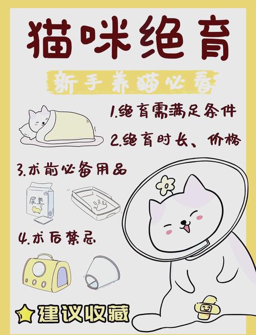 猫咪绝育最佳时间,猫咪绝育最佳时间是多久?-第2张图片-后鲨宠物 猫咪绝育最佳时间,猫咪绝育最佳时间是多久?-第2张图片-后鲨宠物