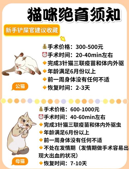 猫咪绝育最佳时间,猫咪绝育最佳时间是多久?-第4张图片-后鲨宠物 猫咪绝育最佳时间,猫咪绝育最佳时间是多久?-第4张图片-后鲨宠物