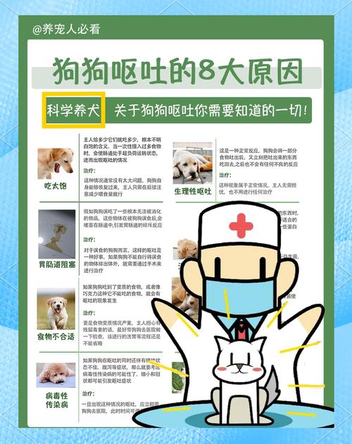 狗狗打完疫苗吐了怎么回事_狗狗打完疫苗吐了是什么原因-第2张图片-后鲨宠物 狗狗打完疫苗吐了怎么回事_狗狗打完疫苗吐了是什么原因-第2张图片-后鲨宠物