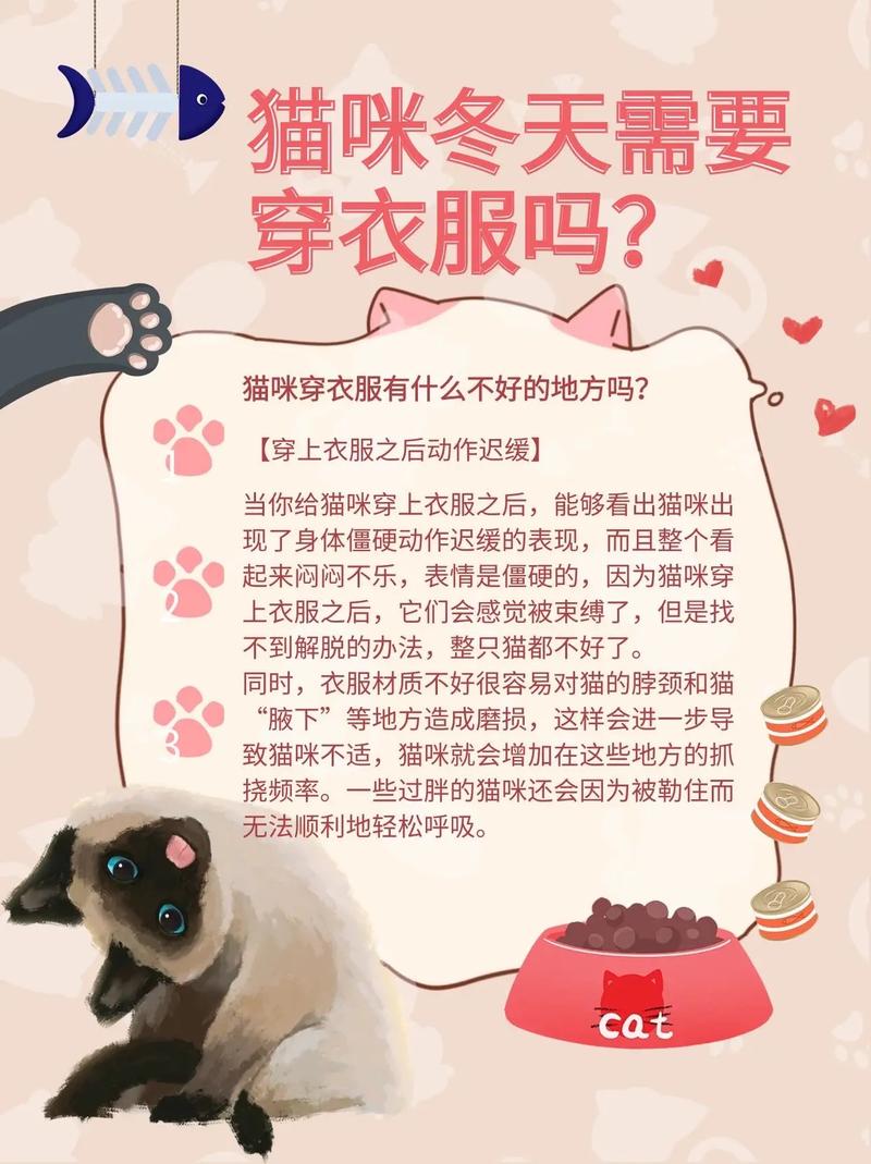 猫咪冬天要穿衣服吗_猫咪冬天需要买衣服吗-第1张图片-后鲨宠物 猫咪冬天要穿衣服吗_猫咪冬天需要买衣服吗-第1张图片-后鲨宠物
