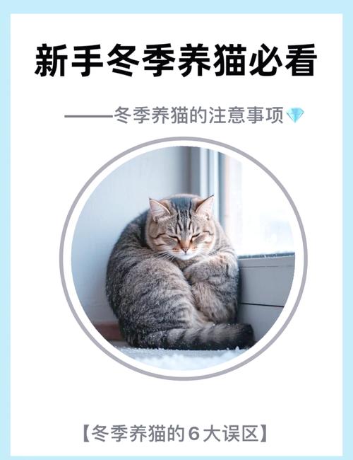 猫咪冬天要穿衣服吗_猫咪冬天需要买衣服吗-第5张图片-后鲨宠物 猫咪冬天要穿衣服吗_猫咪冬天需要买衣服吗-第5张图片-后鲨宠物