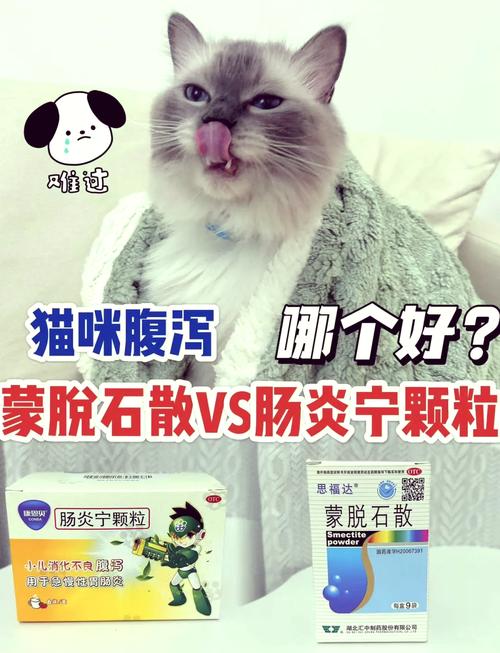 猫咪拉稀吃什么食物好_猫咪拉稀应该吃什么食物-第5张图片-后鲨宠物 猫咪拉稀吃什么食物好_猫咪拉稀应该吃什么食物-第5张图片-后鲨宠物