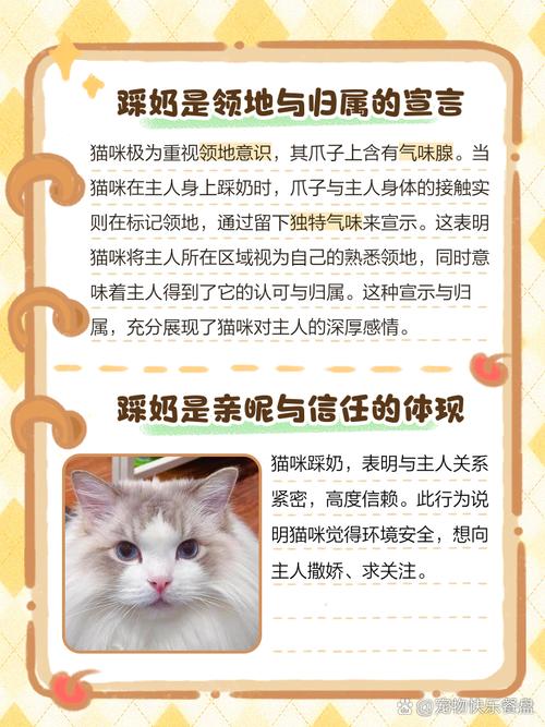 猫猫为什么喜欢踩奶_猫咪为啥喜欢踩奶-第2张图片-后鲨宠物 猫猫为什么喜欢踩奶_猫咪为啥喜欢踩奶-第2张图片-后鲨宠物