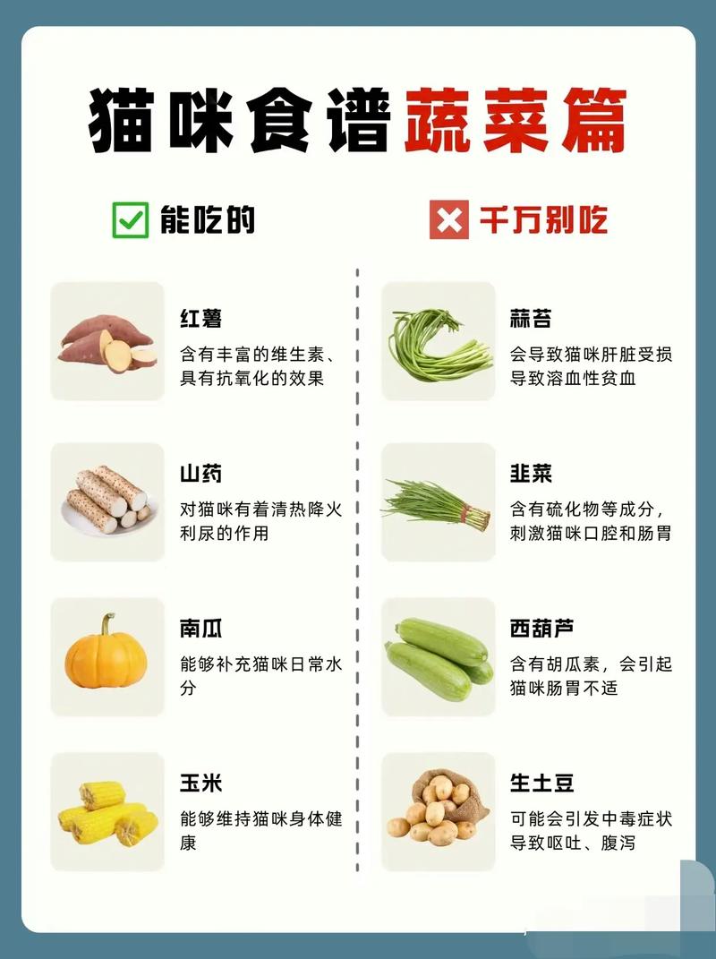 猫咪可以吃枸杞吗,小猫可以吃枸杞吗?-第1张图片-后鲨宠物 猫咪可以吃枸杞吗,小猫可以吃枸杞吗?-第1张图片-后鲨宠物