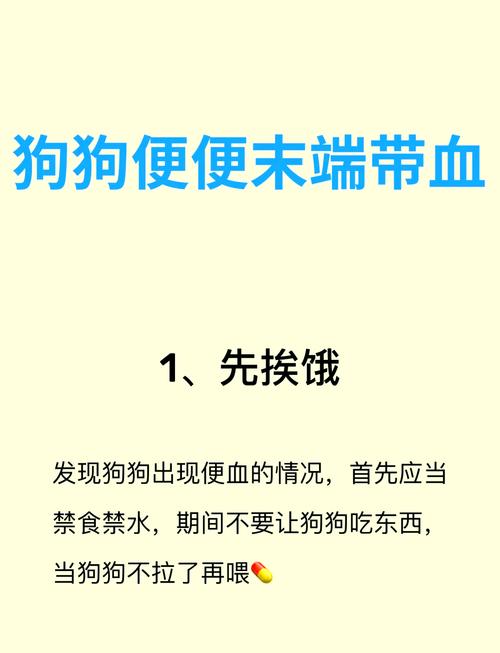  狗狗便中带血怎么回事，狗狗便便中带血-第5张图片-后鲨宠物