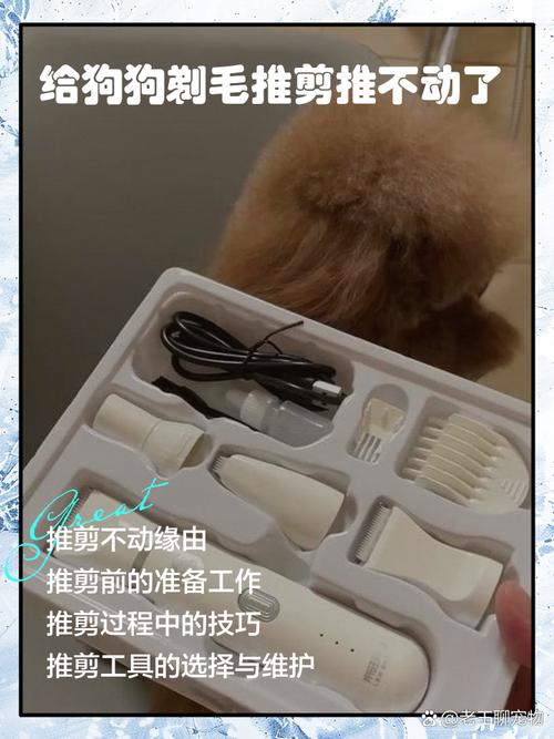 怎么让狗狗安静剪毛_如何让狗狗安静剃毛-第3张图片-后鲨宠物 怎么让狗狗安静剪毛_如何让狗狗安静剃毛-第3张图片-后鲨宠物