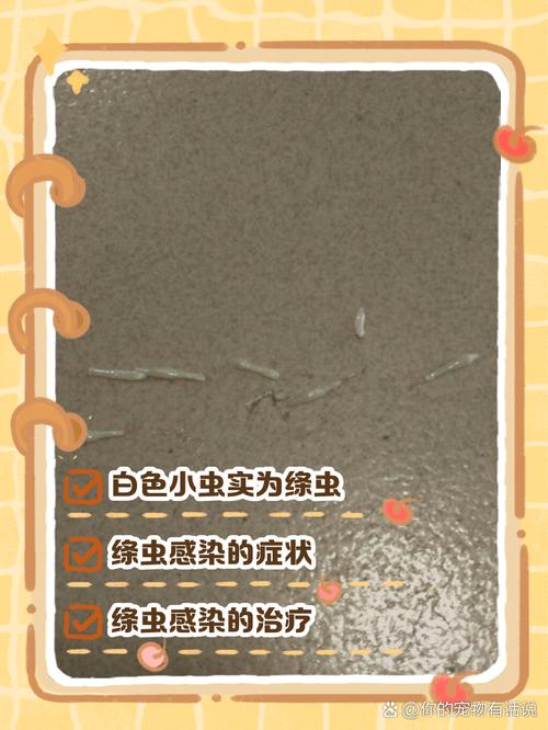 狗狗便便有虫怎么办,狗狗便便有虫子怎么办?-第4张图片-后鲨宠物 狗狗便便有虫怎么办,狗狗便便有虫子怎么办?-第4张图片-后鲨宠物