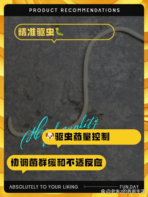 狗狗便便有虫怎么办,狗狗便便有虫子怎么办?-第5张图片-后鲨宠物 狗狗便便有虫怎么办,狗狗便便有虫子怎么办?-第5张图片-后鲨宠物