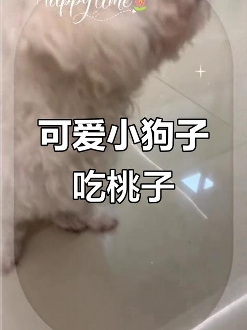 狗狗能吃桃胶吗_狗狗能不能吃桃酥