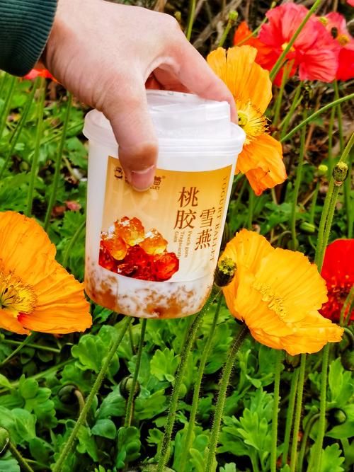 狗狗能吃桃胶吗_狗狗能不能吃桃酥-第2张图片-后鲨宠物