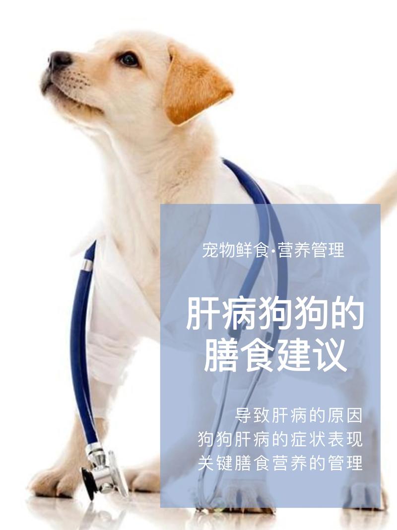 狗狗肝脏不好怎么调理，狗狗肝脏问题？-第6张图片-后鲨宠物