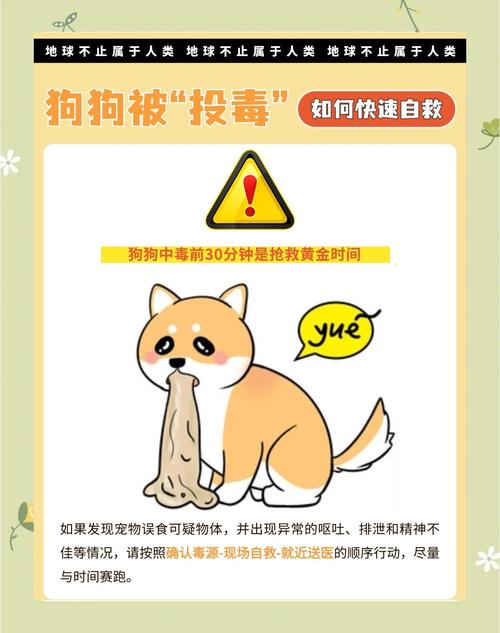 狗狗吃了有毒的东西怎么办,狗狗吃到有毒的食物,该如何急救??-第3张图片-后鲨宠物 狗狗吃了有毒的东西怎么办,狗狗吃到有毒的食物,该如何急救??-第3张图片-后鲨宠物