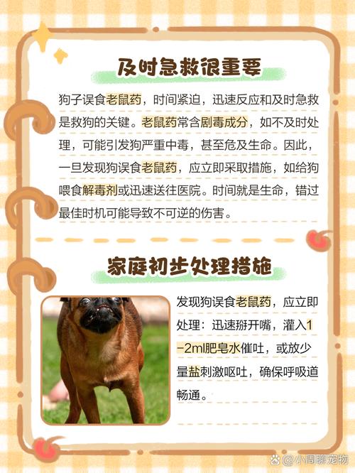 狗狗吃了有毒的东西怎么办,狗狗吃到有毒的食物,该如何急救??-第6张图片-后鲨宠物 狗狗吃了有毒的东西怎么办,狗狗吃到有毒的食物,该如何急救??-第6张图片-后鲨宠物