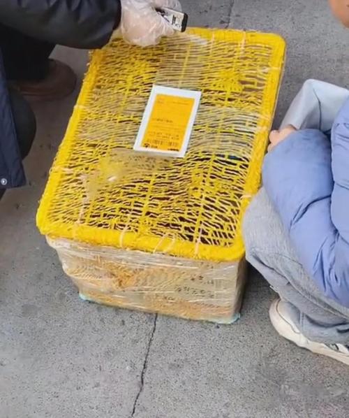 寄狗狗用什么快递公司,寄狗狗用什么软件-第2张图片-后鲨宠物 寄狗狗用什么快递公司,寄狗狗用什么软件-第2张图片-后鲨宠物