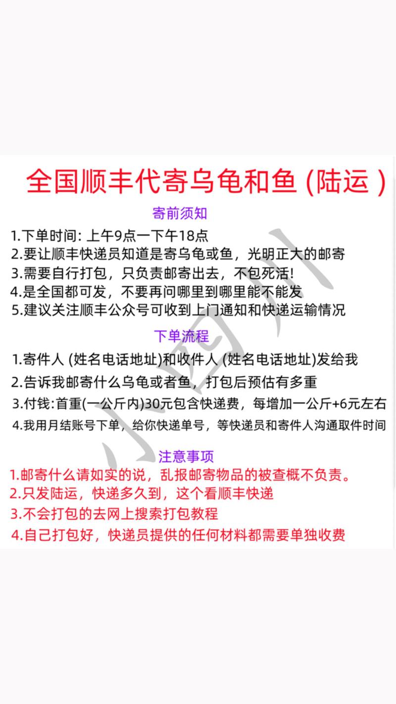 寄狗狗用什么快递公司,寄狗狗用什么软件-第3张图片-后鲨宠物 寄狗狗用什么快递公司,寄狗狗用什么软件-第3张图片-后鲨宠物