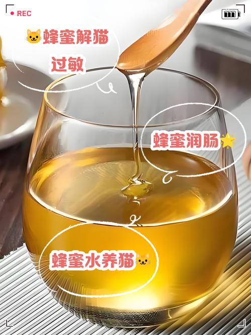 猫咪能喝蜂蜜吗,猫咪能喝蜂蜜吗为什么-第5张图片-后鲨宠物 猫咪能喝蜂蜜吗,猫咪能喝蜂蜜吗为什么-第5张图片-后鲨宠物