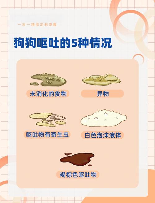  狗狗呕吐是怎么回事，金毛狗狗呕吐是怎么回事