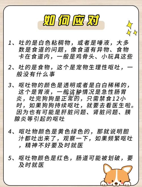 狗狗呕吐是怎么回事,金毛狗狗呕吐是怎么回事-第2张图片-后鲨宠物 狗狗呕吐是怎么回事,金毛狗狗呕吐是怎么回事-第2张图片-后鲨宠物