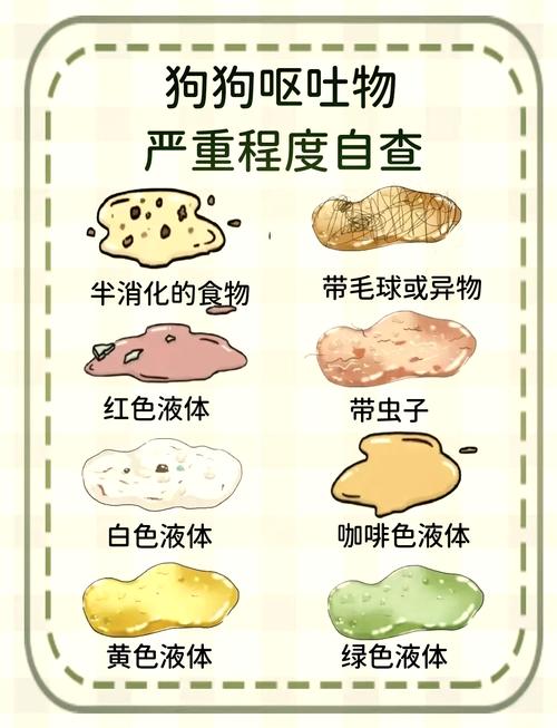 狗狗呕吐是怎么回事,金毛狗狗呕吐是怎么回事-第5张图片-后鲨宠物 狗狗呕吐是怎么回事,金毛狗狗呕吐是怎么回事-第5张图片-后鲨宠物