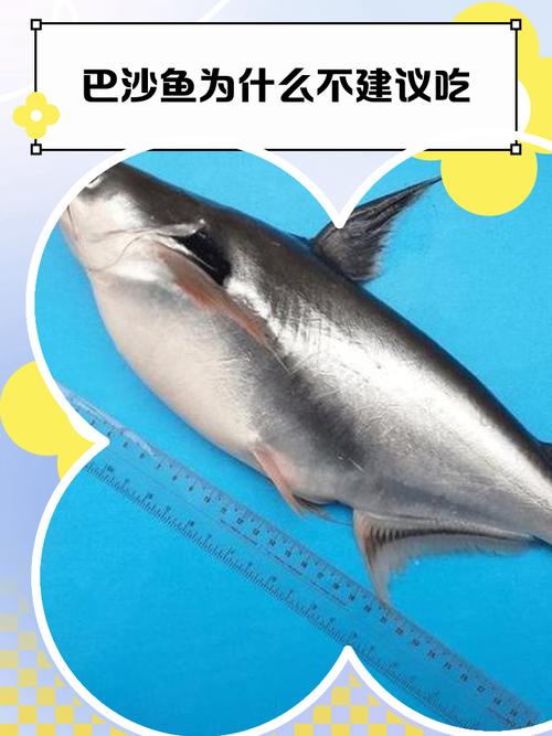 狗狗可以吃巴沙鱼吗,狗狗能吃巴沙鱼片吗?-第2张图片-后鲨宠物 狗狗可以吃巴沙鱼吗,狗狗能吃巴沙鱼片吗?-第2张图片-后鲨宠物