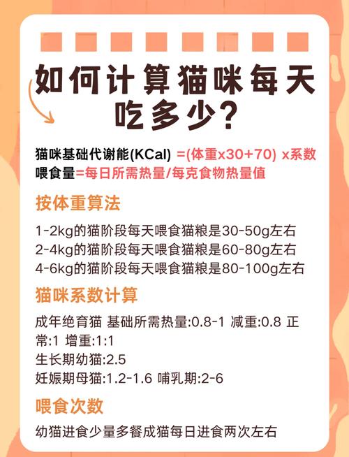 猫咪一个月吃多少猫粮,猫一个月吃多少克猫粮?-第1张图片-后鲨宠物 猫咪一个月吃多少猫粮,猫一个月吃多少克猫粮?-第1张图片-后鲨宠物