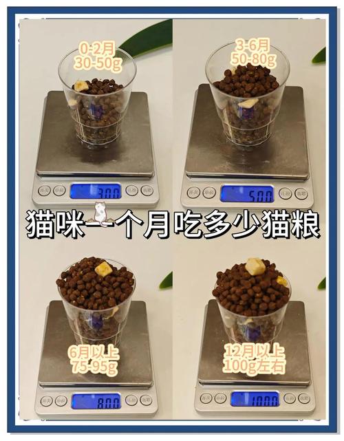 猫咪一个月吃多少猫粮,猫一个月吃多少克猫粮?-第3张图片-后鲨宠物 猫咪一个月吃多少猫粮,猫一个月吃多少克猫粮?-第3张图片-后鲨宠物