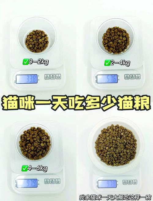 猫咪一个月吃多少猫粮,猫一个月吃多少克猫粮?-第4张图片-后鲨宠物 猫咪一个月吃多少猫粮,猫一个月吃多少克猫粮?-第4张图片-后鲨宠物